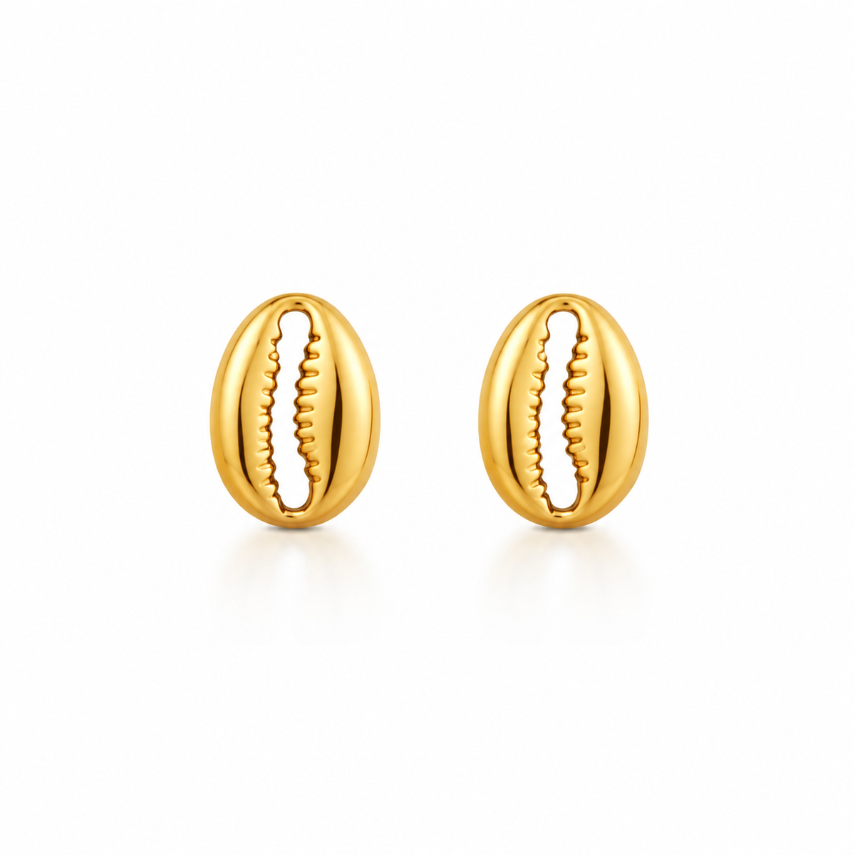 Cowrie Shell Stud Earrings