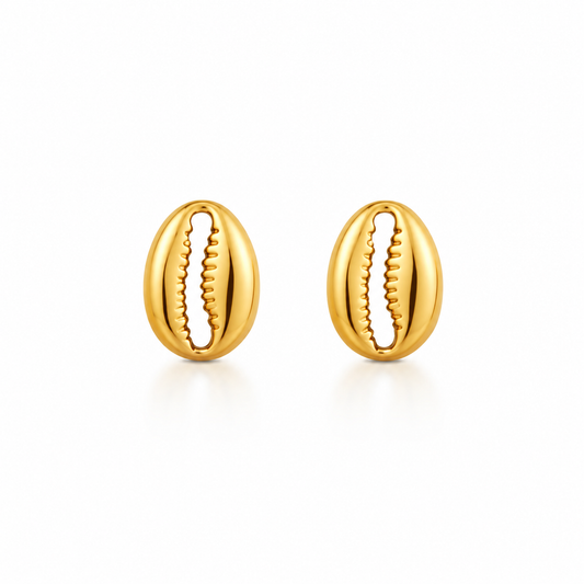 Cowrie Shell Stud Earrings